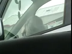 Oso negro con videos sexo casero real burro blanco.