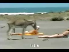 Los xxx real casero mejores videos de apareamiento interespecífico